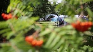 A view of Burnbake campsite is seen behind leafy branches with red berries. A man sits in a deck chair next to a blue tent.