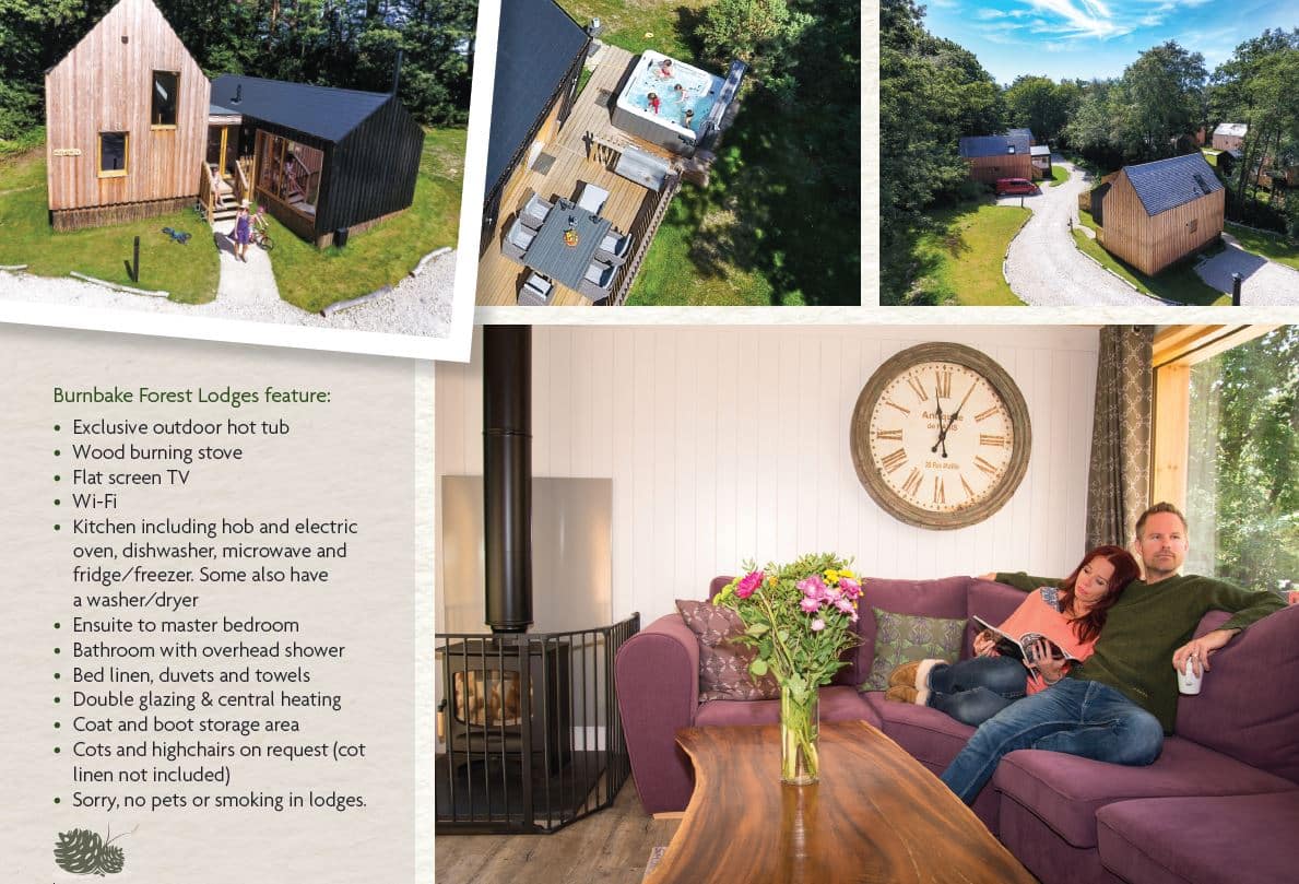 Burnbake took first prize in the self catering accommodation category at this year's Bournemouth and Poole Tourism Awards. There are 22 lodges at Burnbake, all luxuriously furnished, complete with hot tub and wood burner.