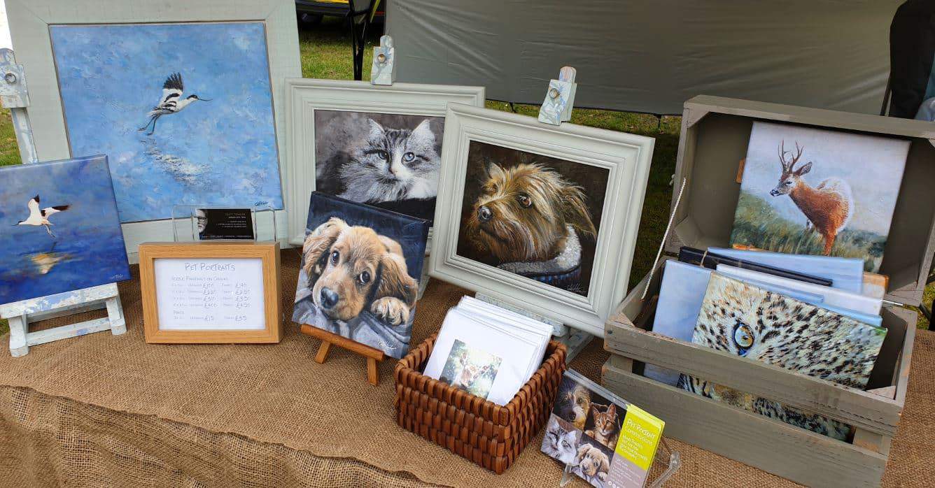 Dorset Dogfriendly Lodge Sponsored Walk At Burnbake Lodges Dorset Purbeck Cliff Towler