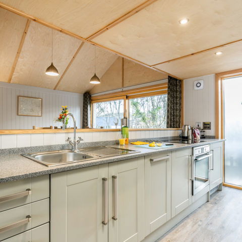 Burnbake Forest Lodges - 2 bedroom lodge sleeps 4