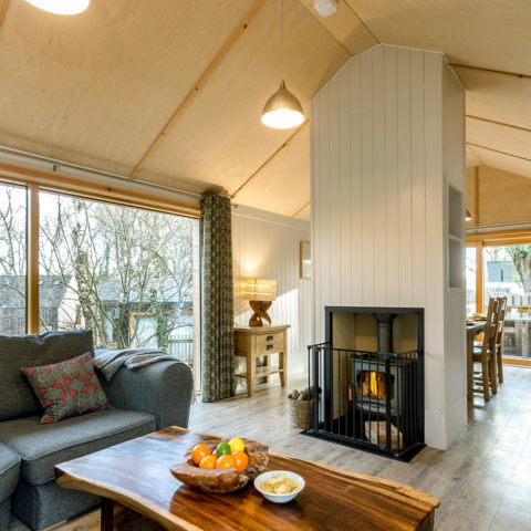 Burnbake Forest Lodges - 2 bedroom lodge sleeps 4