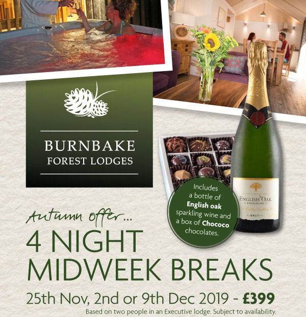 Burnbake Forest Lodges Cosy Midweek Break