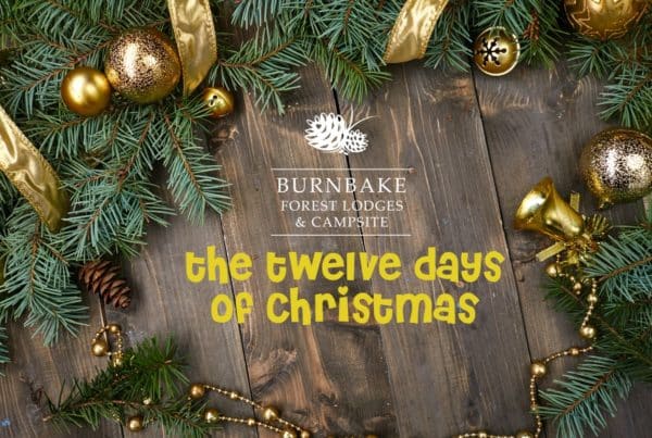 12 Days Of Christmas Christmas At Burnbake Forest