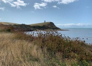 A grassy foreground overlooks a blue sky and sea, and a grassy cliff headland, which contains a stone tower in the distance.