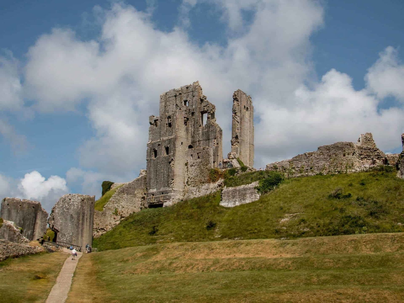 Going nuts for Dorset walks