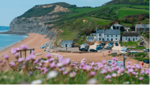 Anchor Inn at Golden Cap, with pink wildflowers in the foreground. 