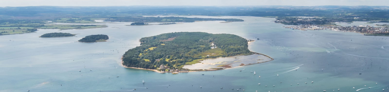 Red Squirrel and nature spotting at Brownsea