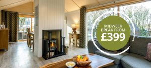 Interior lodge, Dorset, Purbeck, Burnbake, log fire