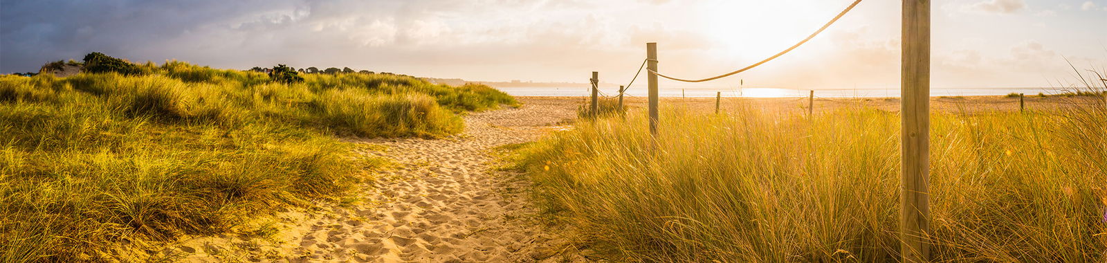 Luxury Camping in Dorset